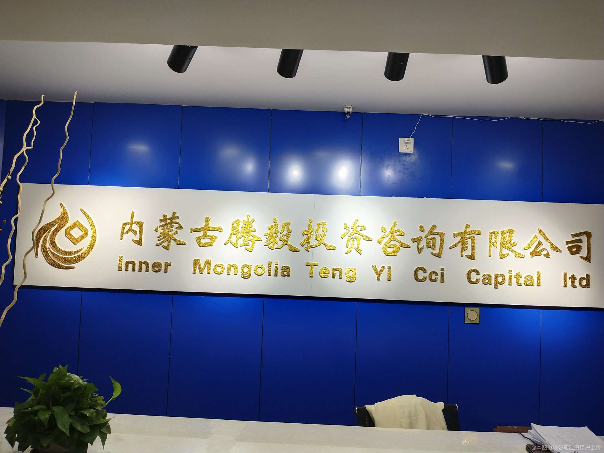 腾毅投资咨询